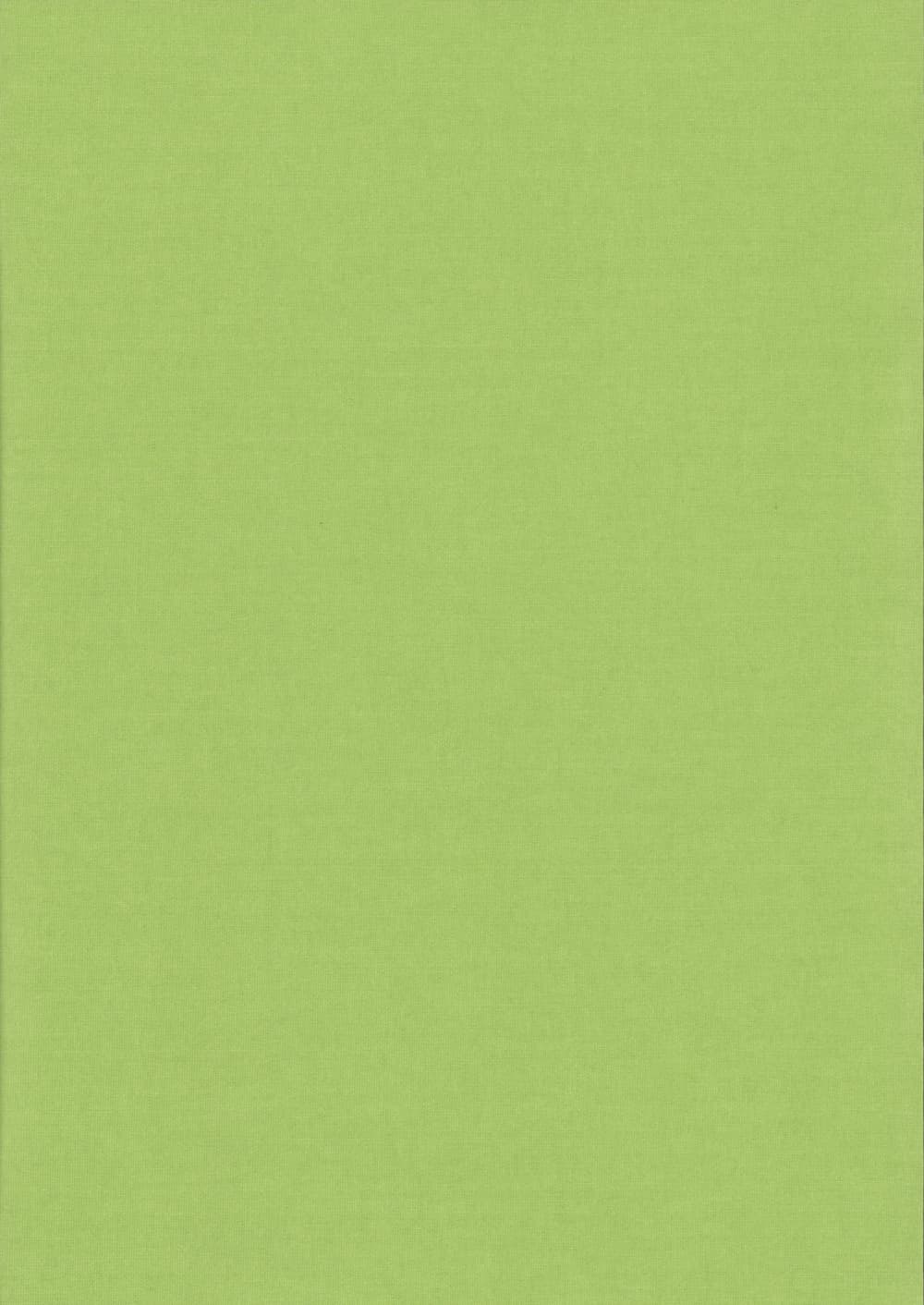 Карина-блэкаут-светло-зеленый
